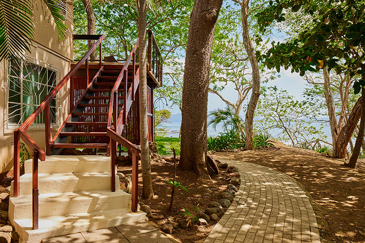 Terrace View