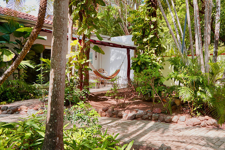 Terrace View